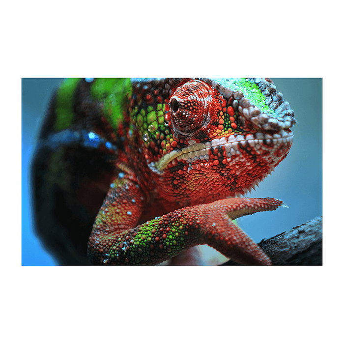 Epson EH-TW7100 Proyector 4K PRO-UHD, 3000 Lúmenes, 3-LCD, Blanco Epson EH-TW7100 Proyector 4K PRO-UHD, 3000 Lúmenes, 3-LCD, Blanco