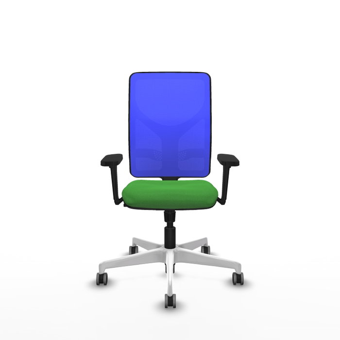 PIQUERAS Y CRESPO Silla de oficina Motilla con mecanismo Sincro, Verde y Azul PIQUERAS Y CRESPO Silla de oficina Motilla con mecanismo Sincro, Verde y Azul