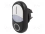 EATON ELECTRIC Interruptor Doble RMQ-Titan 22mm Blanco/Negro