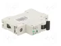 Promfactor Baltic Interruptor magnetotérmico ECO 6A 1 Polo Característica B
