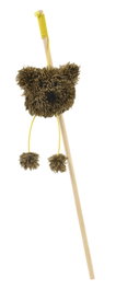 Nayeco Vara con Peluche Osito de 45 cm (Pack de 3 unidades)