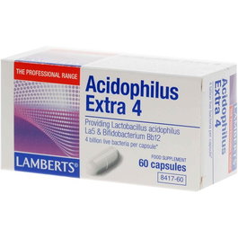 LAMBERTS Acidophilus Extra 4, 60 cápsulas