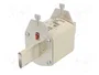 ETI POLAM Fusible de cartucho NH3C 250A 500VAC