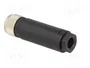 LAPP Conector M8 3 pines hembra recto IP67