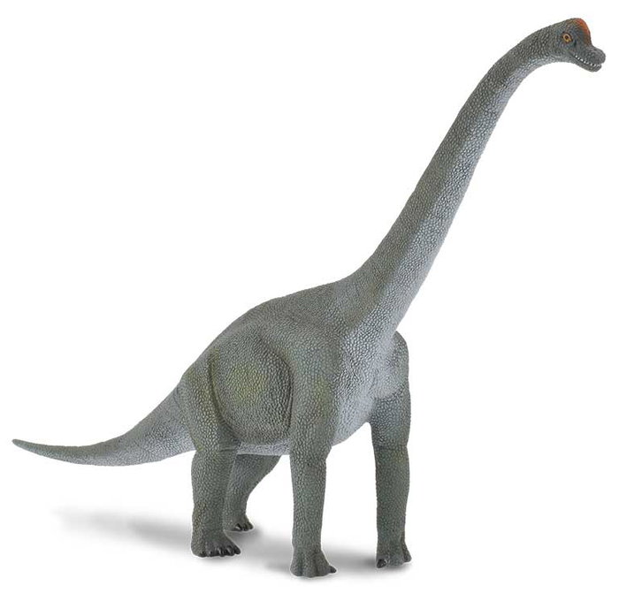 Collecta Brachiosaurus Escala L Figura Réplica 88121 Pintada a Mano con Detalle para Coleccionistas y Niños +3 Años Collecta Brachiosaurus Escala L Figura Réplica 88121 Pintada a Mano con Detalle para Coleccionistas y Niños +3 Años