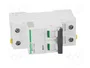 SCHNEIDER ELECTRIC iC60N Interruptor magnetotérmico 25A 2 Polos Curva C