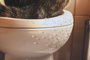 DKD Home Decor Cuadro Lienzo MDF Gato Baño 40x1,8x60 Surtido de 4