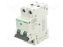 SCHNEIDER ELECTRIC Easy9 Pro EZ9F27206 Interruptor magnetotérmico 2 polos 6A 6kA