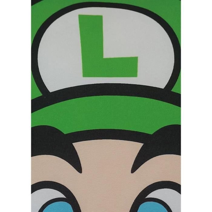 Mario Bros Cojín Cuadrado de Doble Cara - Mario y Luigi - 40 x 40 cm