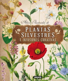 Plantas silvestres e infusiones curativas, VV.AA. - SUSAETA EDICIONES