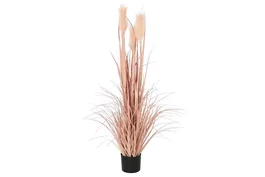 DKD Home Decor Planta Decorativa Plumero Coral y Negro 35x35x120 cm