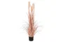 DKD Home Decor Planta Decorativa Plumero Coral y Negro 35x35x120 cm