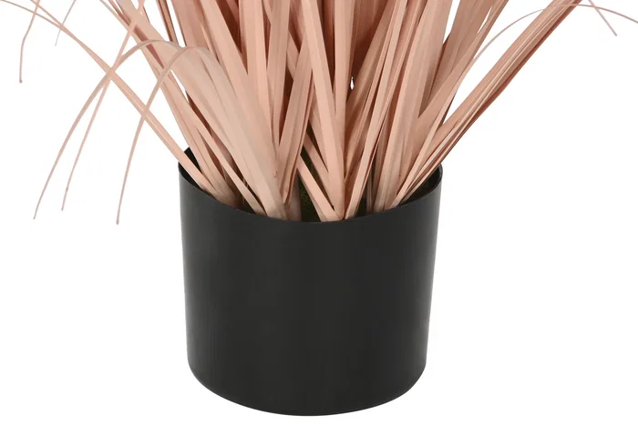 DKD Home Decor Planta Decorativa Plumero Coral y Negro 35x35x120 cm