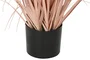 DKD Home Decor Planta Decorativa Plumero Coral y Negro 35x35x120 cm