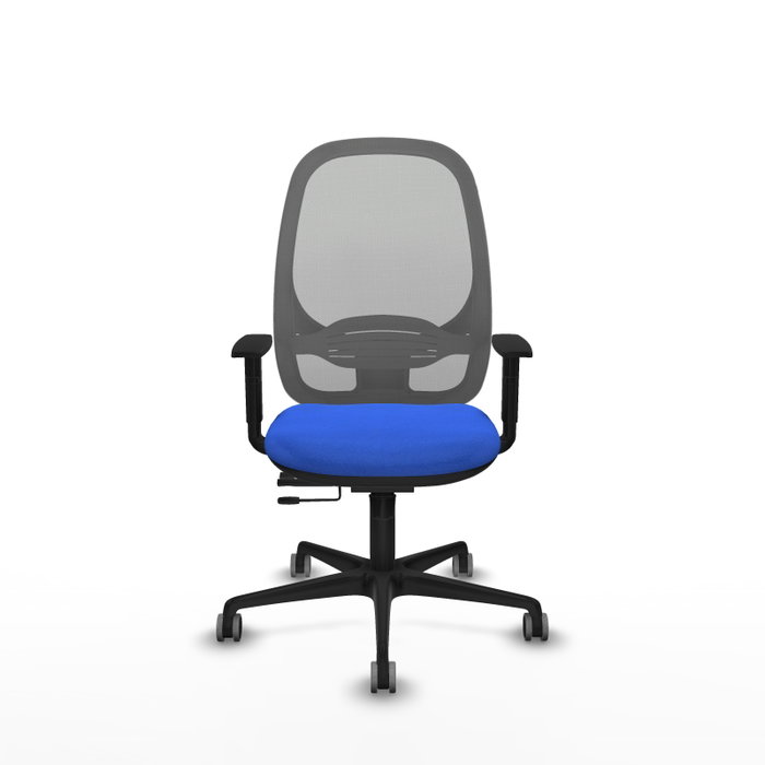 PIQUERAS Y CRESPO Silla de oficina Cilanco con mecanismo Sincro/Traslack, Azul y Gris PIQUERAS Y CRESPO Silla de oficina Cilanco con mecanismo Sincro/Traslack, Azul y Gris