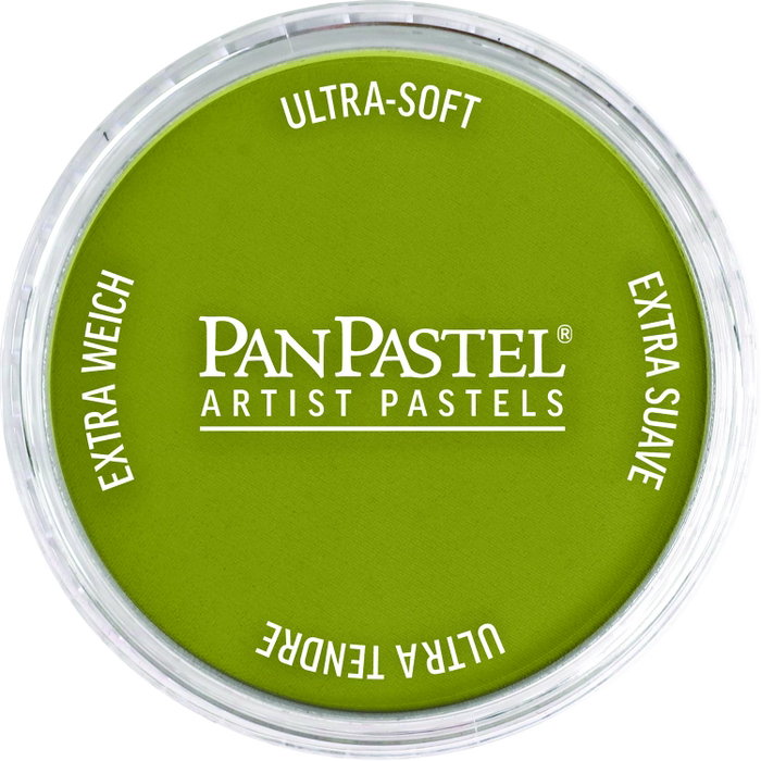 Panpastel 680.3 Amarillo Brillante Sombra Verde Panpastel 680.3 Amarillo Brillante Sombra Verde