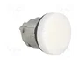 SCHNEIDER ELECTRIC Lámpara de control Harmony XB4 ZBV6 Blanco