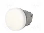 SCHNEIDER ELECTRIC Lámpara de control Harmony XB4 ZBV6 Blanco