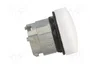 SCHNEIDER ELECTRIC Lámpara de control Harmony XB4 ZBV6 Blanco