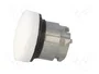 SCHNEIDER ELECTRIC Lámpara de control Harmony XB4 ZBV6 Blanco