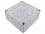 Günther Spelsberg GmbH+Co.KG Abox 160-L IP55/IP66