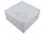 Günther Spelsberg GmbH+Co.KG Abox 160-L IP55/IP66