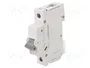 ETI POLAM Interruptor magnetotérmico ETIMAT P10 1P B16 16A 10kA