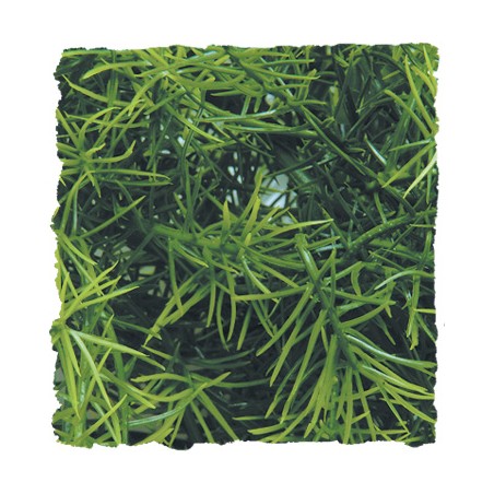 ZooMed Planta Artificial de Plástico Pequeña para Reptiles y Anfibios ZooMed Planta Artificial de Plástico Pequeña para Reptiles y Anfibios