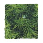 ZooMed Planta Artificial de Plástico Pequeña para Reptiles y Anfibios