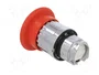 SCHNEIDER ELECTRIC Interruptor de seguridad con llave Harmony XB4 Rojo