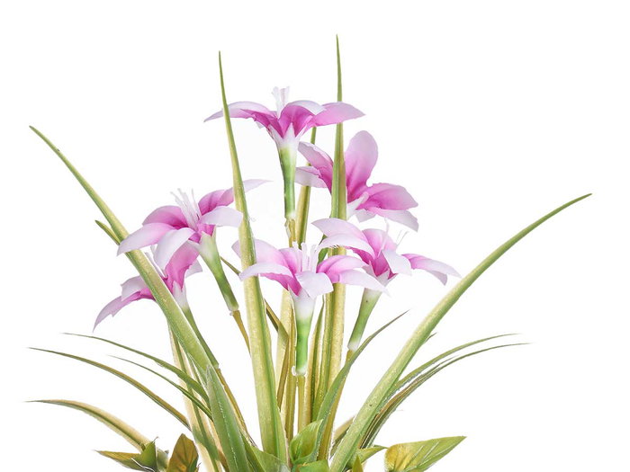 IBERGARDEN Planta Flor Abierta Pequeña Bote Metal 15x36x15 cm (Set de 12) IBERGARDEN Planta Flor Abierta Pequeña Bote Metal 15x36x15 cm (Set de 12)