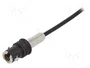 4CARMEDIA Antena de Techo para Audi, AM/FM con Amplificación de 8dB