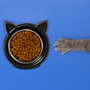 The Concept Factory Comedero Gato Forma Cabeza Gato Diámetro 14 cm Medidas 13.5x16 cm