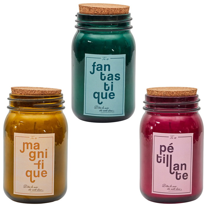 Home Deco Factory Tarro con Vela Perfumada Bougie Magnolia, Jazmín, Almendra en Tarro de Vidrio con Tapa de Corcho Cera Parafina 260g