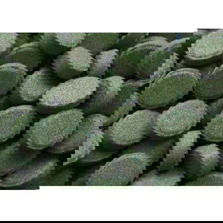 Nayeco Amtra Pro Vegetal Alimento para Peces de Agua Dulce y Marino con Espirulina y Chlorella 250 mL