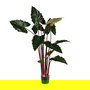 Planta Colocasia Verde Artificial Jardín 85 X 85 X 180 cm