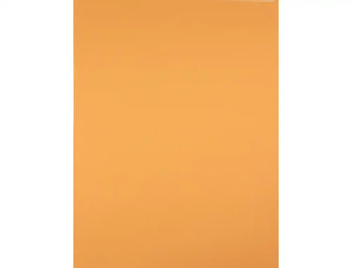 Liderpapel Cartulina Avellana 50x65 cm 240g/m2 (25 hojas)