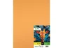 Liderpapel Cartulina Avellana 50x65 cm 240g/m2 (25 hojas)