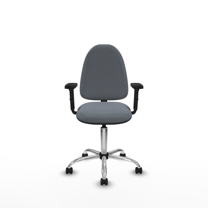 PIQUERAS Y CRESPO Silla de oficina Aýna Gris con Brazos 2D y Base Cromada PIQUERAS Y CRESPO Silla de oficina Aýna Gris con Brazos 2D y Base Cromada