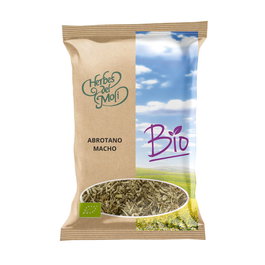 Abrotano Macho Planta Eco