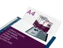 Liderpapel Carpeta con fundas fijas azul translúcido DIN A4