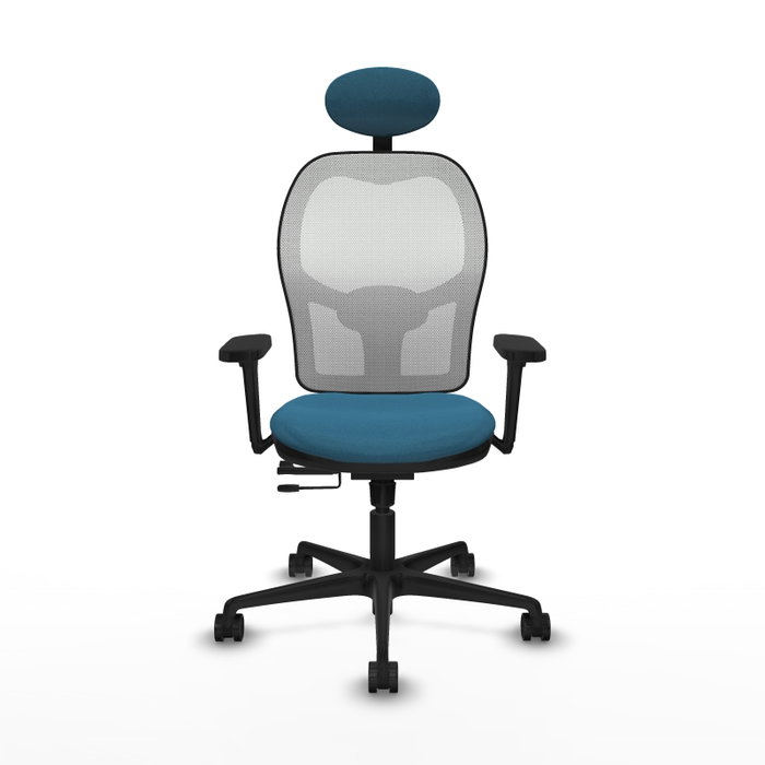 PIQUERAS Y CRESPO Silla de oficina Jorquera con mecanismo Sincro/Traslack, Verde petróleo y Blanco PIQUERAS Y CRESPO Silla de oficina Jorquera con mecanismo Sincro/Traslack, Verde petróleo y Blanco