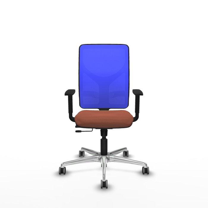 PIQUERAS Y CRESPO Silla de oficina Motilla con mecanismo Sincro/Traslack, Azul y Marrón PIQUERAS Y CRESPO Silla de oficina Motilla con mecanismo Sincro/Traslack, Azul y Marrón