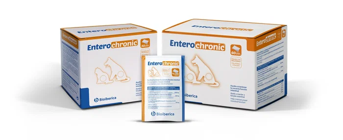 Bioiberica ENTERO-CHRONIC 60 sobres