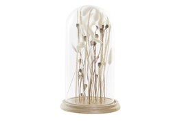 DKD Home Decor Decoración Flor Seca Cristal 18x18x32 Espigas
