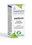 ESENTIAL AROMS Aceite Esencial Raíz de Angélica 5 ml