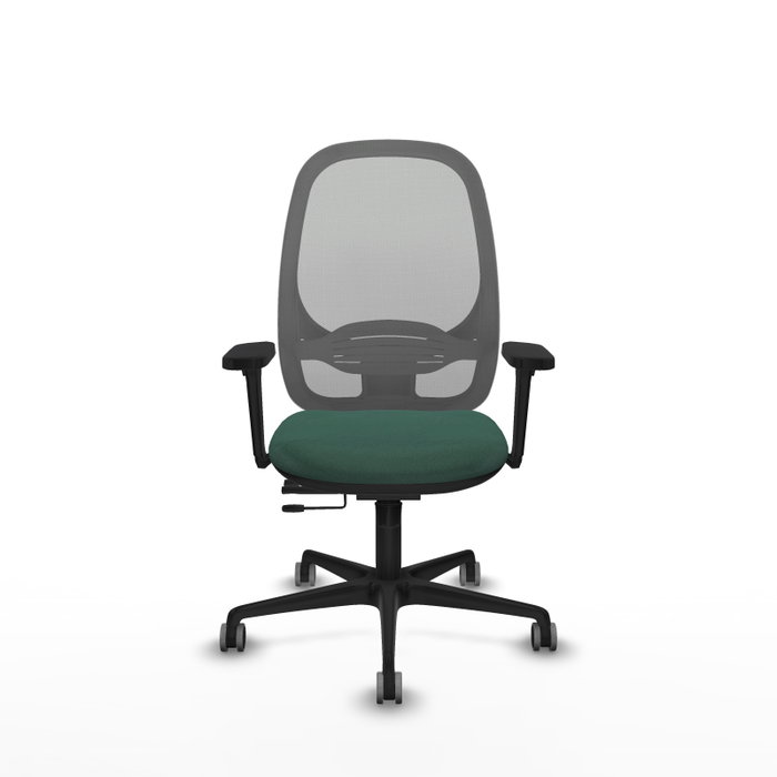 PIQUERAS Y CRESPO Silla de oficina Cilanco con mecanismo Sincro/Traslack Verde botella y Gris PIQUERAS Y CRESPO Silla de oficina Cilanco con mecanismo Sincro/Traslack Verde botella y Gris
