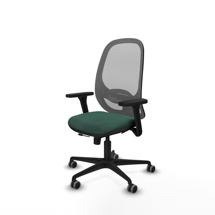 PIQUERAS Y CRESPO Silla de oficina Cilanco con mecanismo Sincro/Traslack Verde botella y Gris PIQUERAS Y CRESPO Silla de oficina Cilanco con mecanismo Sincro/Traslack Verde botella y Gris