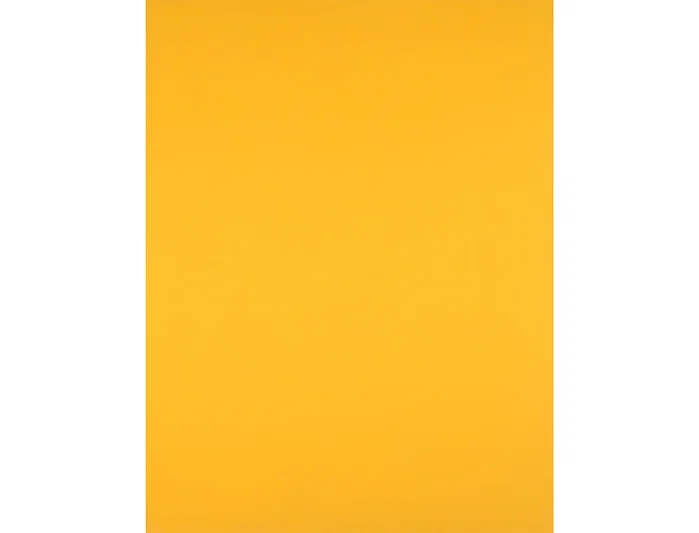 Liderpapel Cartulina 50x65 cm 180 gr Oro Viejo Unidad