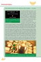 Inventando Hyrule: La Historia Detras de La Saga The Legend Of Zelda (1986-2001)